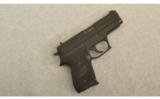 Sig Sauer Model P245 45 ACP 3 1/2
