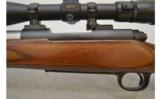 Winchester ~ 70 SA ~ .22-250 Remington - 5 of 8