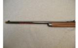 Winchester ~ 1894 Cabela's Special Edition ~ .38-55 Winchester - 7 of 9