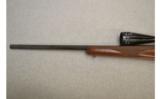 Ruger ~ M77 ~ .22-250 Remington - 7 of 9