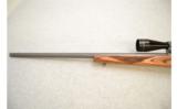 Ruger ~ All Weather 77/22 ~ .22 LR - 7 of 9