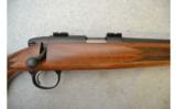 Remington ~ 504 ~ .17 Mach 2 - 3 of 9