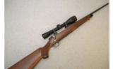 Ruger ~ M77 Hawkeye ~ .257 Rob. - 1 of 9