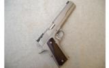 Kimber ~ Stainless Target ~ .45 ACP - 1 of 5