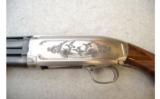Winchester ~ 12 ~ 20 Ga. ~ Ducks Unlimited Edition - 9 of 9
