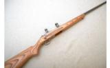 Ruger ~ 77/22 All-Weather ~ .22 Hornet - 1 of 9