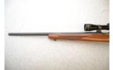 Ruger ~ M77/22 ~ .22 WMR - 7 of 9