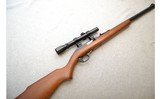 Marlin ~ 60 ~ .22LR - 1 of 10