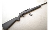 Savage ~ Mark II ~ .22LR - 12 of 12