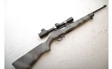 Ruger ~ 10/22 Customized ~ .22 LR - 1 of 11