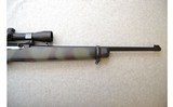 Ruger ~ 10/22 Customized ~ .22 LR - 4 of 11