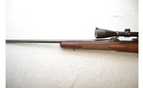 Winchester ~ 70 Classic Sporter ~ .30-06 Sprg. - 7 of 10