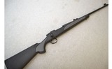 Remington ~ 700 Dangerous Game ~ .375 H&H - 1 of 11