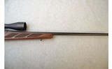 Tikka ~ T3 Hunter ~ .300 WSM - 4 of 11