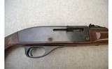 Remington ~ Nylon 66 ~ .22LR - 3 of 11