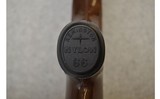 Remington ~ Nylon 66 ~ .22LR - 11 of 11