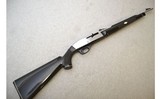 Remington ~ Nylon 66 ~ .22LR - 1 of 11