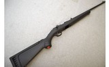 Ruger ~ American Rimfire ~ .22 LR - 1 of 11