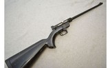 Charter Arms ~ AR-7 Explorer ~ .22LR - 1 of 12