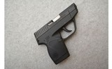Taurus ~ PT 738 TCP ~ .380ACP - 1 of 3