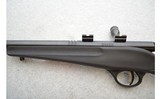 Savage ~ Rascal FV-SR ~ .22 S,L,LR - 9 of 10