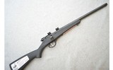 Savage ~ Rascal FV-SR ~ .22 S,L,LR - 1 of 10