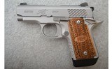 Kimber ~ Micro 9 Raptor ~ 9mm - 2 of 3