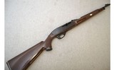 Remington ~ Nylon 66 ~ .22LR - 1 of 11