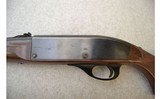 Remington ~ Nylon 66 ~ .22LR - 8 of 11