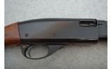 Remington ~ 572 Fieldmaster ~ .22S,L,LR - 3 of 11