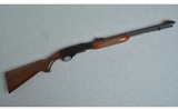 Remington ~ 572 Fieldmaster ~ .22 Long Rifle - 1 of 8