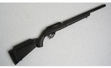 Ruger ~ 10/22 Lite Take Down ~ .22 Long Rifle - 1 of 11