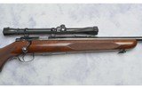 Winchester ~ 75 ~ .22 Long Rifle - 3 of 10