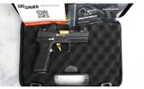 SIG Sauer ~ Custom Works P320 RXP XCompact ~ 9MM Luger - 5 of 5