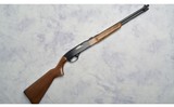 Winchester ~ 190 ~ .22 Long Rifle