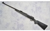 Remington ~ 700 SPS ~ .375 H&H Magnum - 6 of 10