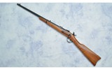 Harrington & Richardson ~ U.S. Model 1873 ~ 45/70 GOVT - 10 of 10
