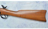 Harrington & Richardson ~ U.S. Model 1873 ~ 45/70 GOVT - 9 of 10