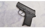 Remington ~ RM380 ~ .380 Auto - 2 of 3