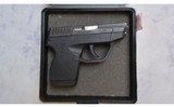 Taurus ~ PT 738 ~ .380ACP - 3 of 3