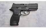Sig Sauer ~ P250 ~ .40 S&W