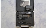 Sig Sauer ~ P250 ~ .40 S&W - 4 of 4