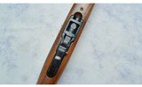 Ruger ~ 10/22 Carbine ~ .22 Long Rifle - 10 of 10