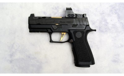 SIG Sauer
Custom Works P320 RXP XCompact
9MM Luger