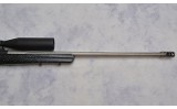 Browning ~ X-Bolt ~ .300 Wincherster Magnum - 4 of 9