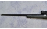Howa ~ 1500 ~ .300 Winchester Magnum - 7 of 9