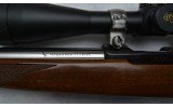 Ruger ~ 77/17 ~ .17 HMR - 10 of 10