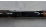 Henry ~ H001 ~ .22 S, L, LR - 5 of 9