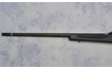 Savage ~ Impulse ~ .300 Winchester Magnum - 7 of 9