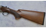 Pointer ~ Acrius ~ 20 Gauge - 9 of 9